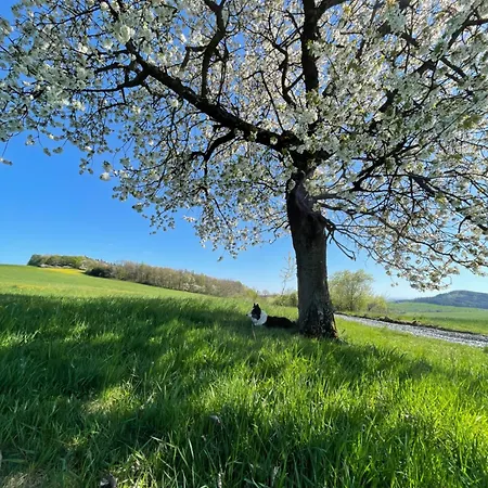 Σπίτι διακοπών V Domecku Na Kopecku *